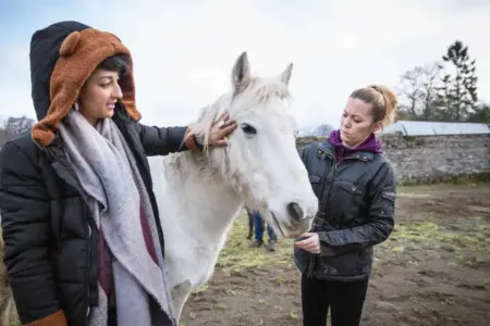 Two women stroking a white horse during equine therapy at Smarmore Castle