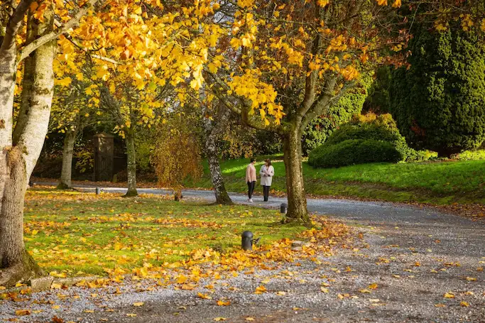 Two people walking up a path at Smarmore Castle surrounded by trees and nature