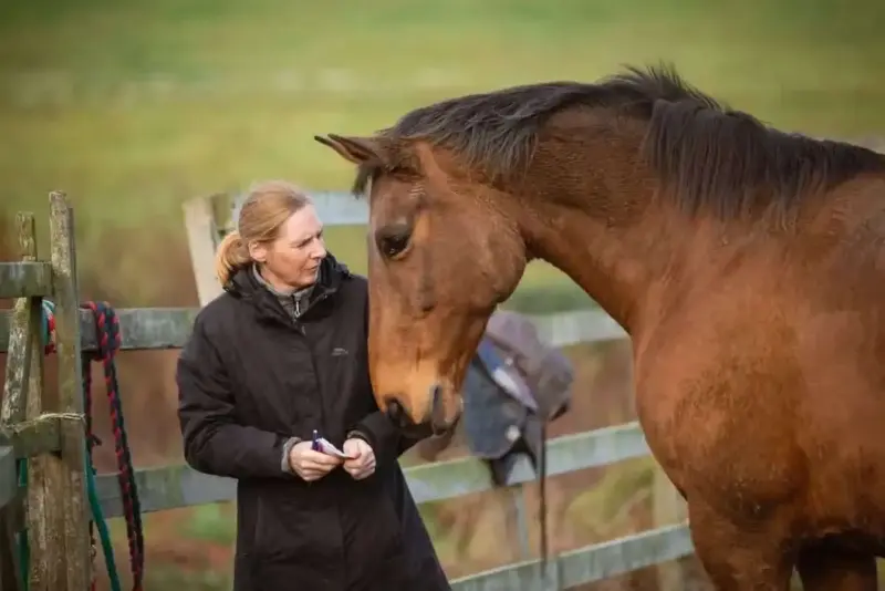 Smamore Castle Equine Therapy