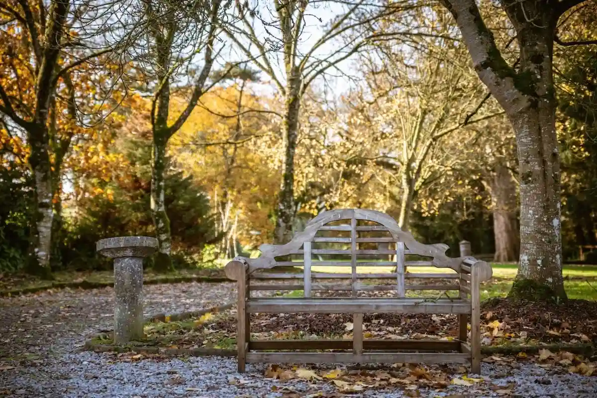 Smarmore Castle Bench Outside