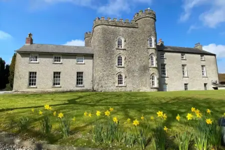 Smarmore Castle Yellow Flowers